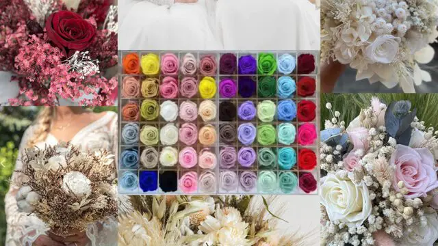 Campanha-FC-14-01-2025-rose-colors-1
